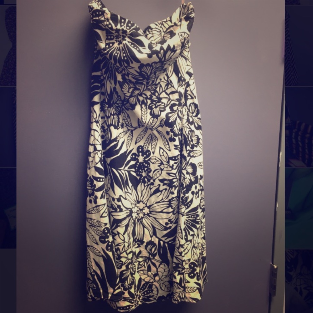 Size 2 Gap Dress